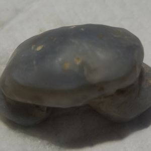Ellensburg Blue Agate. Rare